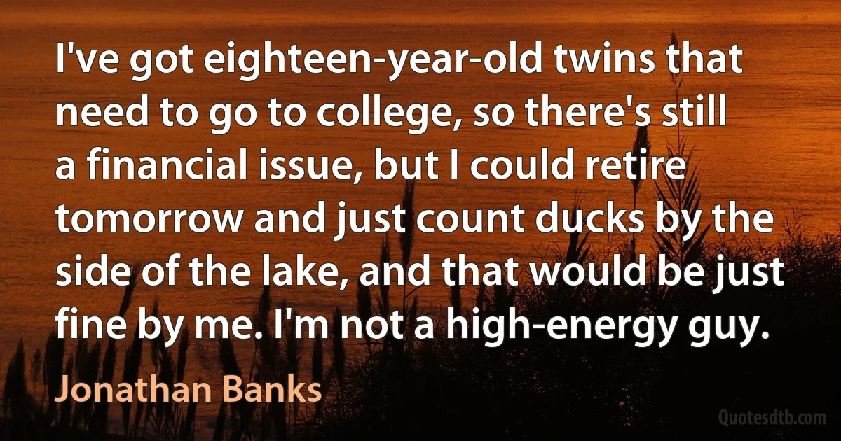 I've got eighteen-year-old twins that need to go to college, so there's still a financial issue, but I could retire tomorrow and just count ducks by the side of the lake, and that would be just fine by me. I'm not a high-energy guy. (Jonathan Banks)