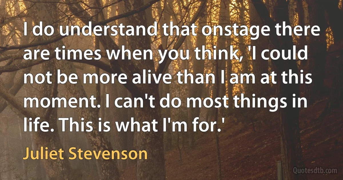 I do understand that onstage there are times when you think, 'I could not be more alive than I am at this moment. I can't do most things in life. This is what I'm for.' (Juliet Stevenson)