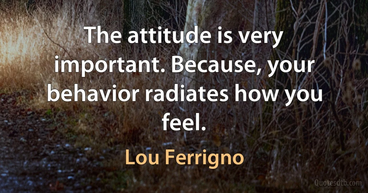 The attitude is very important. Because, your behavior radiates how you feel. (Lou Ferrigno)