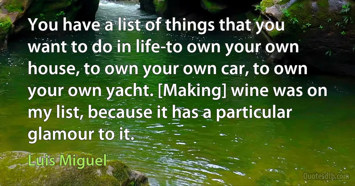 You have a list of things that you want to do in life-to own your own house, to own your own car, to own your own yacht. [Making] wine was on my list, because it has a particular glamour to it. (Luis Miguel)