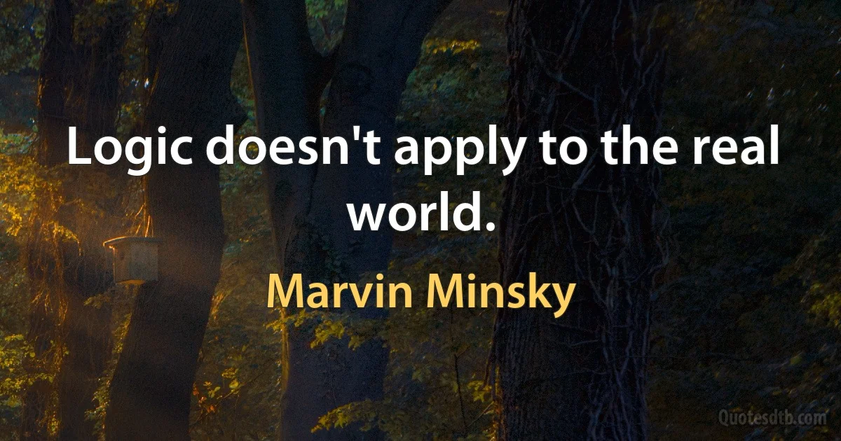 Logic doesn't apply to the real world. (Marvin Minsky)