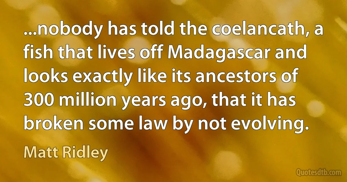 ...nobody has told the coelancath, a fish that lives off Madagascar and looks exactly like its ancestors of 300 million years ago, that it has broken some law by not evolving. (Matt Ridley)