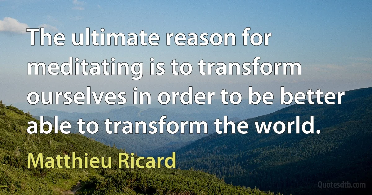 The ultimate reason for meditating is to transform ourselves in order to be better able to transform the world. (Matthieu Ricard)