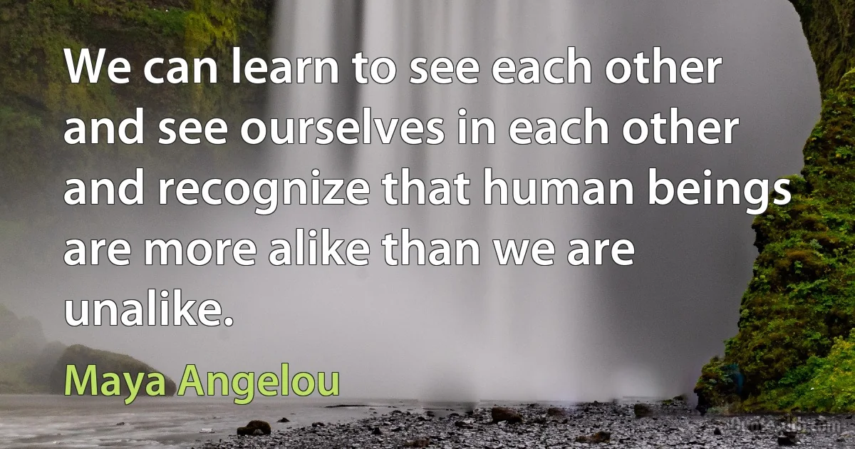 We can learn to see each other and see ourselves in each other and recognize that human beings are more alike than we are unalike. (Maya Angelou)