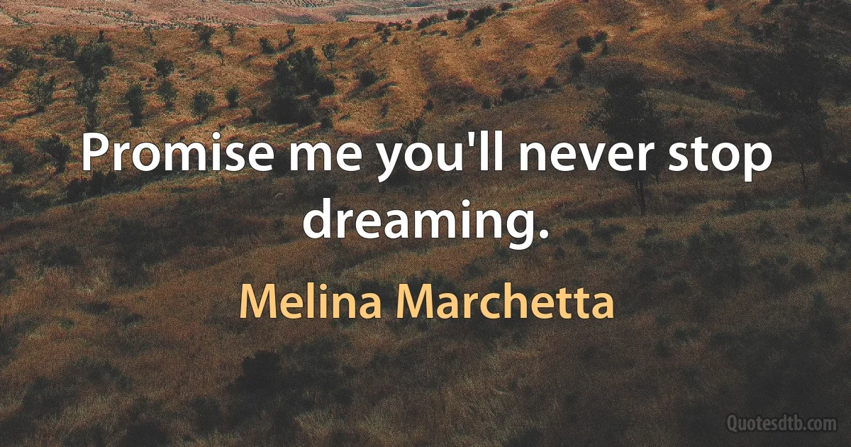 Promise me you'll never stop dreaming. (Melina Marchetta)