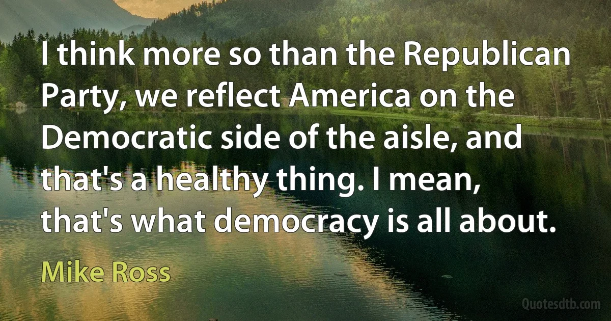 I think more so than the Republican Party, we reflect America on the Democratic side of the aisle, and that's a healthy thing. I mean, that's what democracy is all about. (Mike Ross)