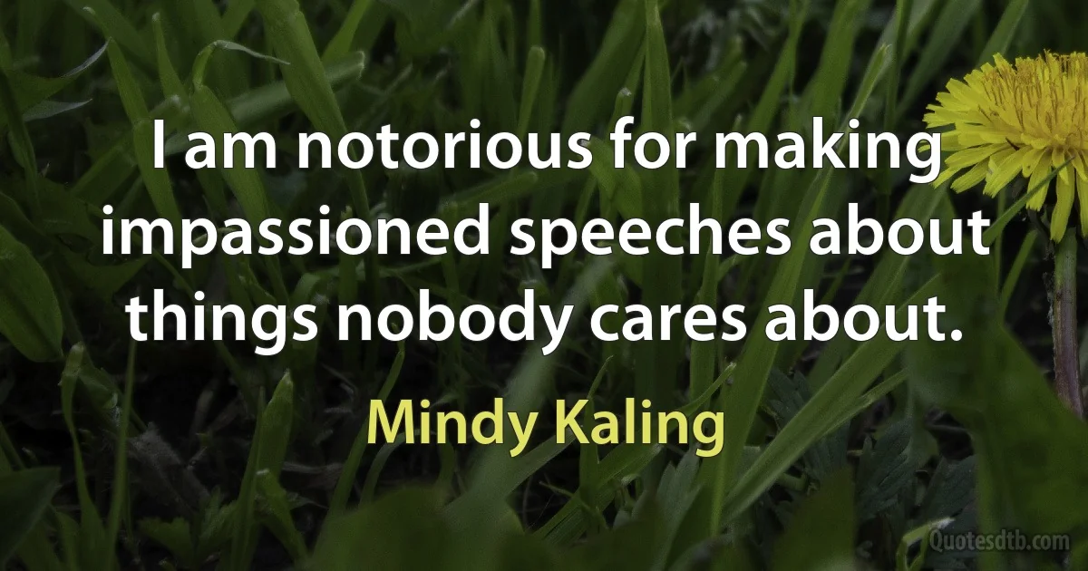 I am notorious for making impassioned speeches about things nobody cares about. (Mindy Kaling)