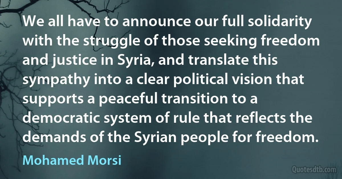 We all have to announce our full solidarity with the struggle of those seeking freedom and justice in Syria, and translate this sympathy into a clear political vision that supports a peaceful transition to a democratic system of rule that reflects the demands of the Syrian people for freedom. (Mohamed Morsi)