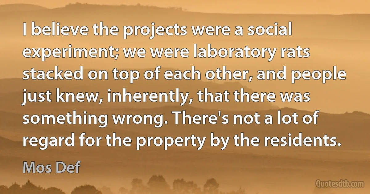 I believe the projects were a social experiment; we were laboratory rats stacked on top of each other, and people just knew, inherently, that there was something wrong. There's not a lot of regard for the property by the residents. (Mos Def)