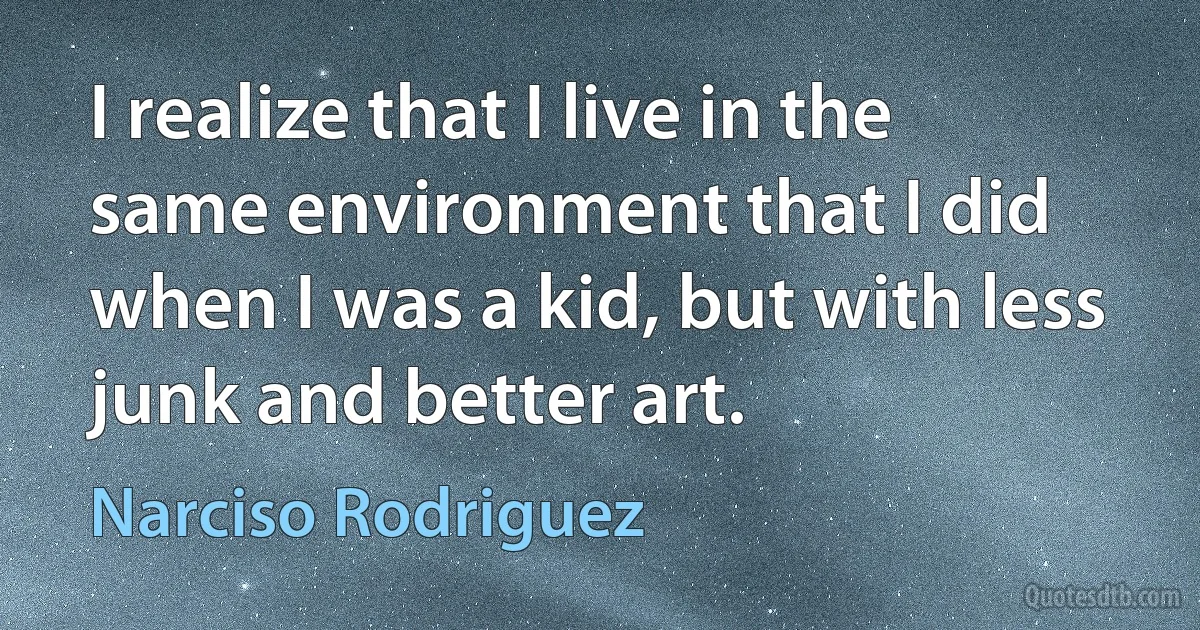 I realize that I live in the same environment that I did when I was a kid, but with less junk and better art. (Narciso Rodriguez)