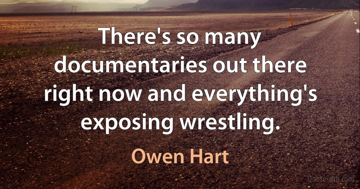 There's so many documentaries out there right now and everything's exposing wrestling. (Owen Hart)