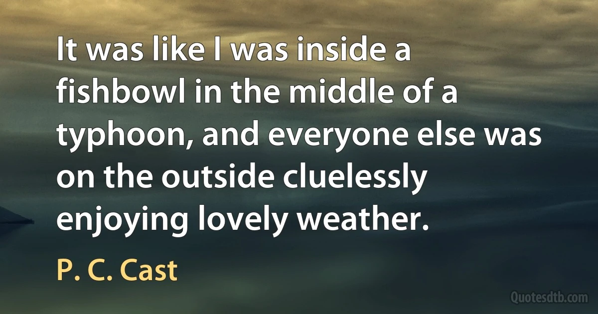 It was like I was inside a fishbowl in the middle of a typhoon, and everyone else was on the outside cluelessly enjoying lovely weather. (P. C. Cast)