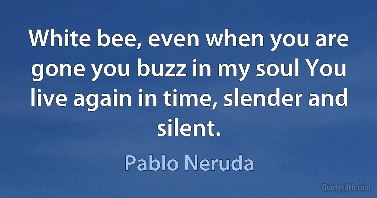 White bee, even when you are gone you buzz in my soul You live again in time, slender and silent. (Pablo Neruda)