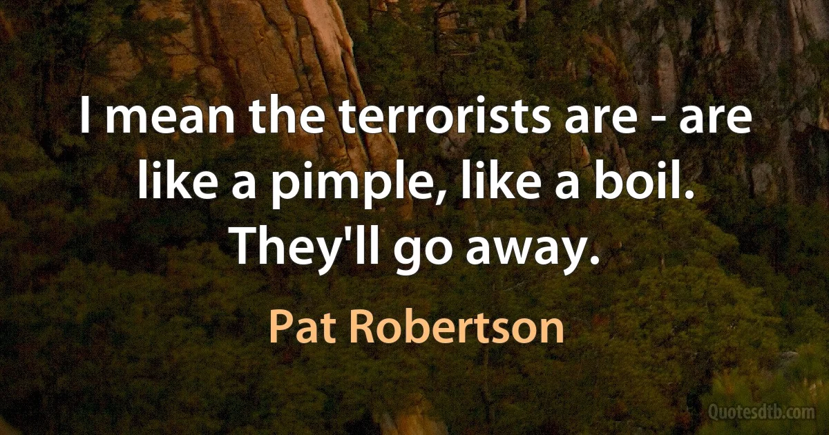 I mean the terrorists are - are like a pimple, like a boil. They'll go away. (Pat Robertson)