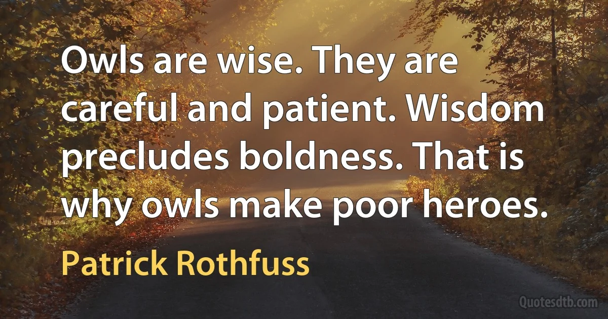 Owls are wise. They are careful and patient. Wisdom precludes boldness. That is why owls make poor heroes. (Patrick Rothfuss)