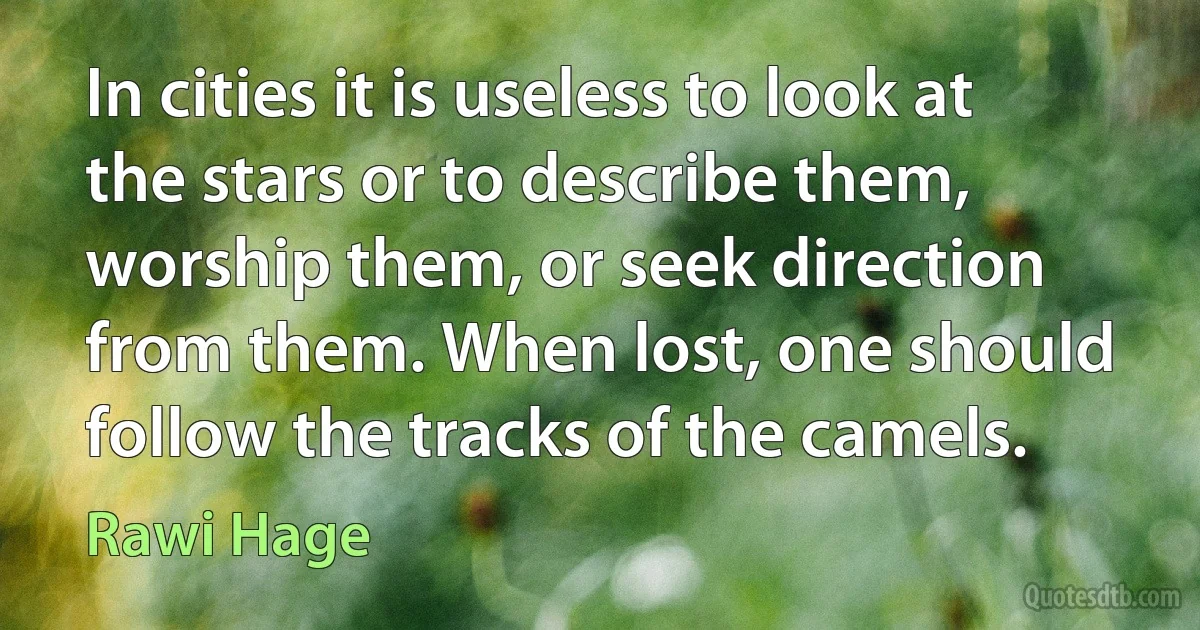 In cities it is useless to look at the stars or to describe them, worship them, or seek direction from them. When lost, one should follow the tracks of the camels. (Rawi Hage)