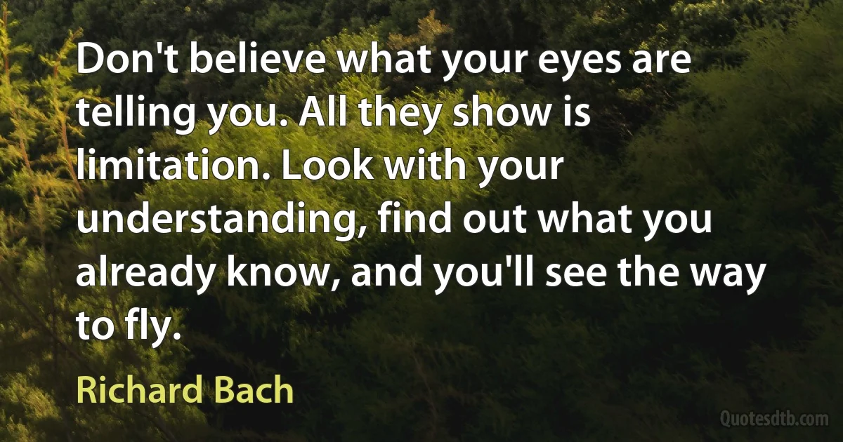 Don't believe what your eyes are telling you. All they show is limitation. Look with your understanding, find out what you already know, and you'll see the way to fly. (Richard Bach)