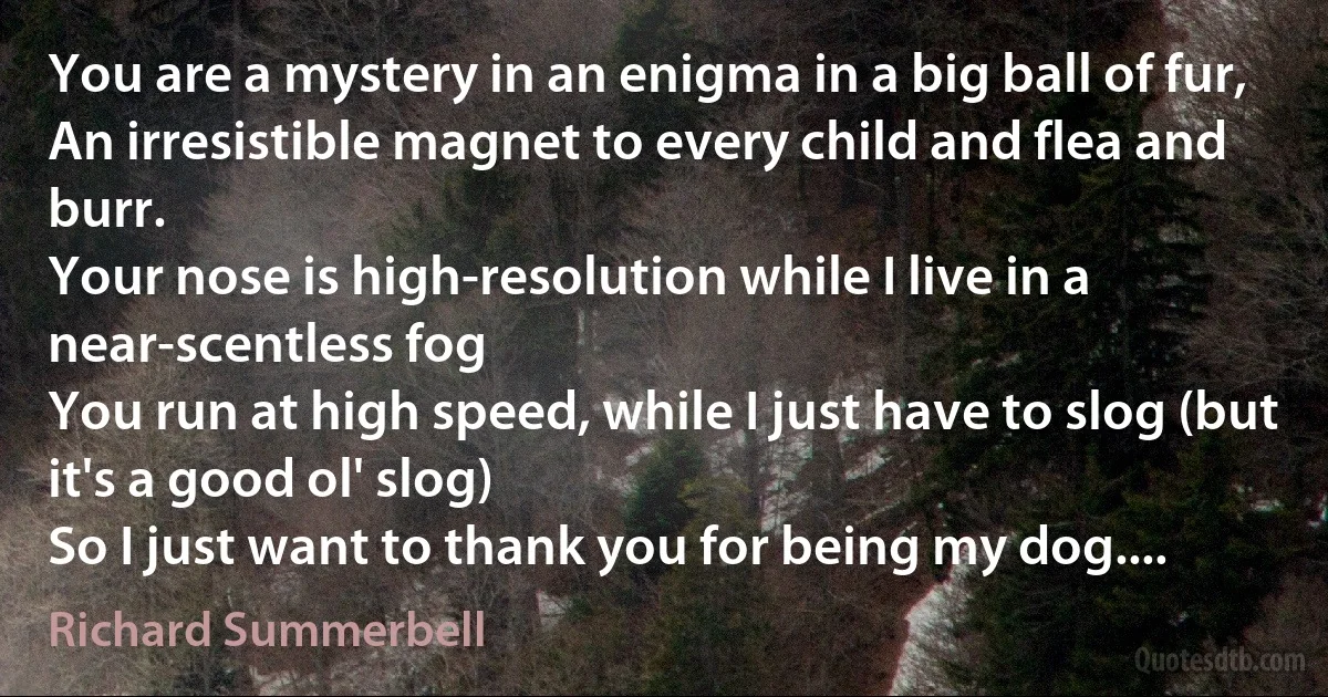 You are a mystery in an enigma in a big ball of fur,
An irresistible magnet to every child and flea and burr.
Your nose is high-resolution while I live in a near-scentless fog
You run at high speed, while I just have to slog (but it's a good ol' slog)
So I just want to thank you for being my dog.... (Richard Summerbell)