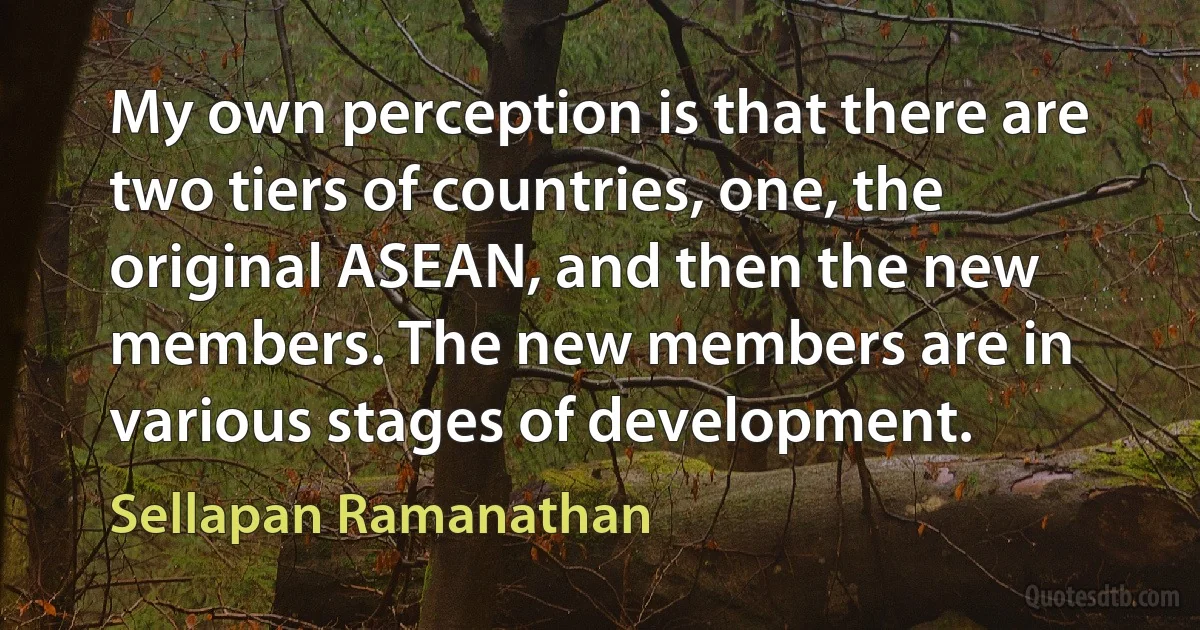 My own perception is that there are two tiers of countries, one, the original ASEAN, and then the new members. The new members are in various stages of development. (Sellapan Ramanathan)