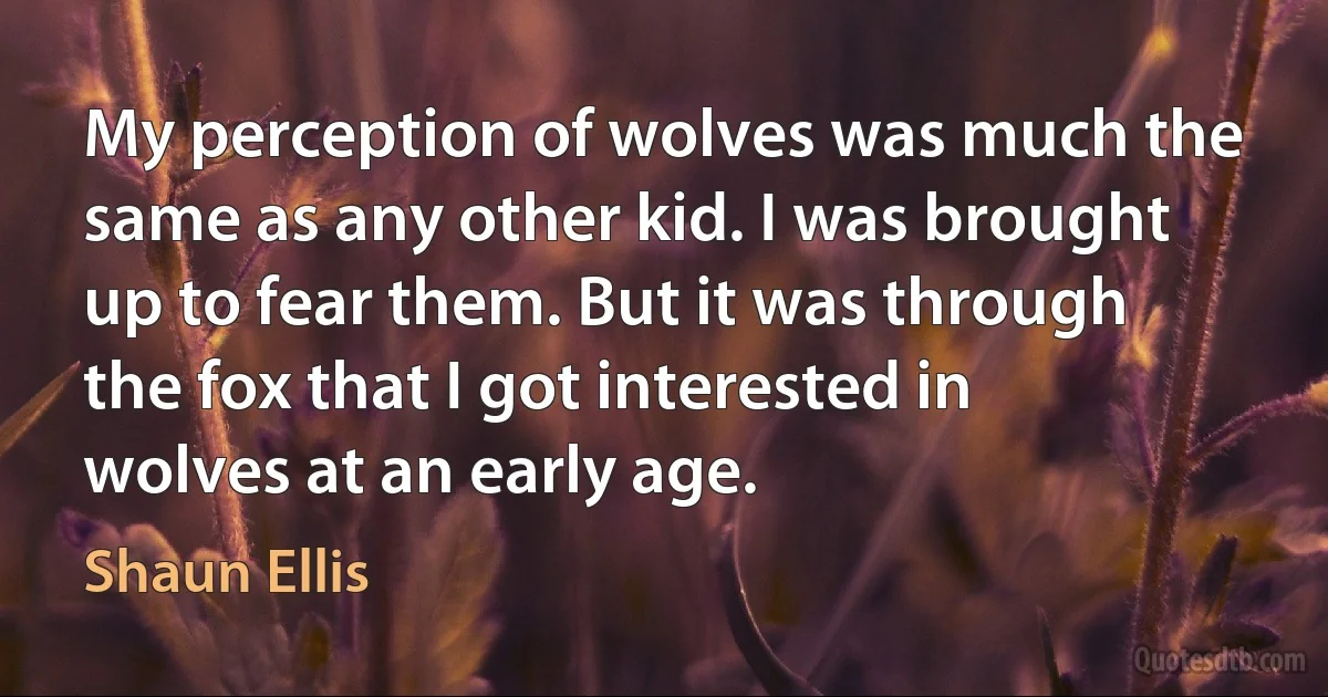 My perception of wolves was much the same as any other kid. I was brought up to fear them. But it was through the fox that I got interested in wolves at an early age. (Shaun Ellis)