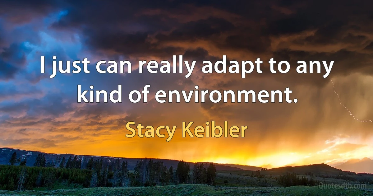 I just can really adapt to any kind of environment. (Stacy Keibler)