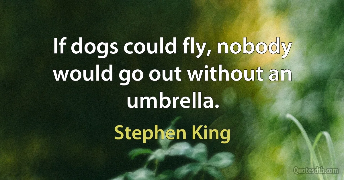 If dogs could fly, nobody would go out without an umbrella. (Stephen King)