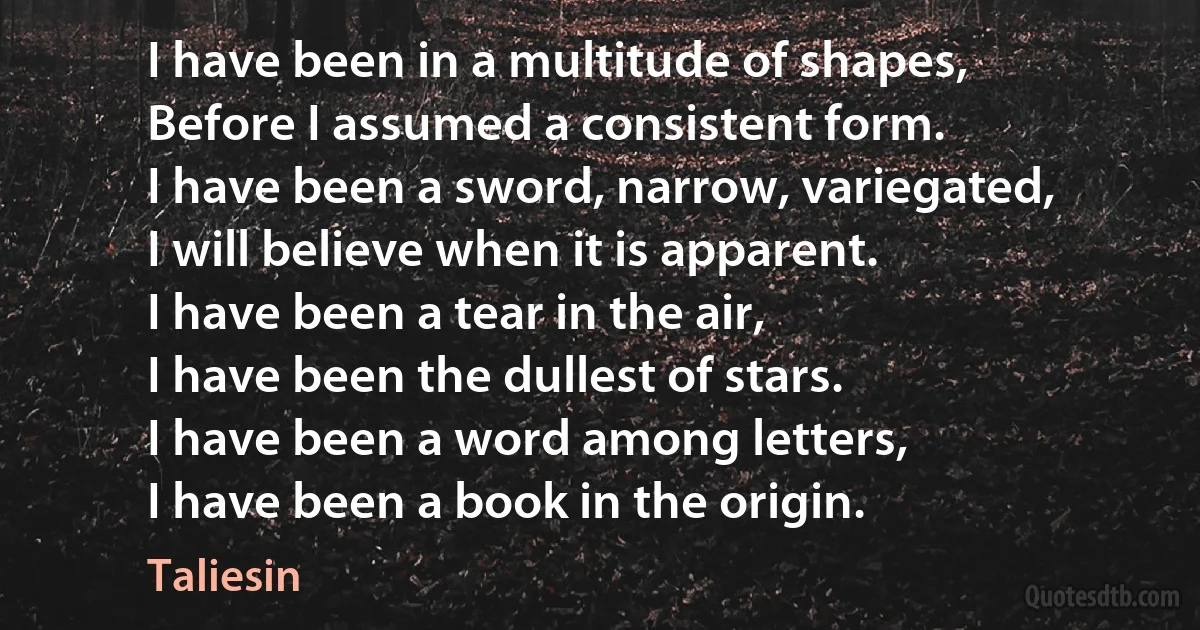 I have been in a multitude of shapes,
Before I assumed a consistent form.
I have been a sword, narrow, variegated,
I will believe when it is apparent.
I have been a tear in the air,
I have been the dullest of stars.
I have been a word among letters,
I have been a book in the origin. (Taliesin)