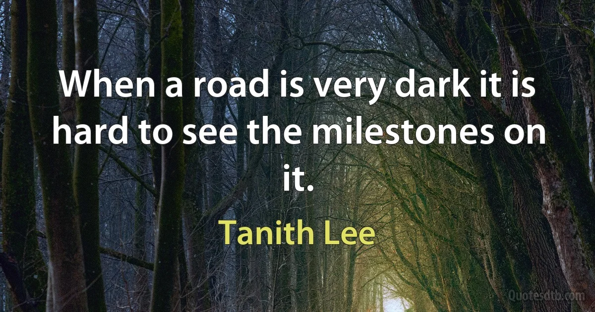 When a road is very dark it is hard to see the milestones on it. (Tanith Lee)