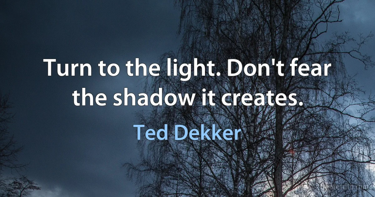 Turn to the light. Don't fear the shadow it creates. (Ted Dekker)