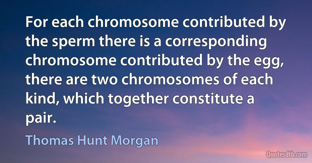 For each chromosome contributed by the sperm there is a corresponding chromosome contributed by the egg, there are two chromosomes of each kind, which together constitute a pair. (Thomas Hunt Morgan)