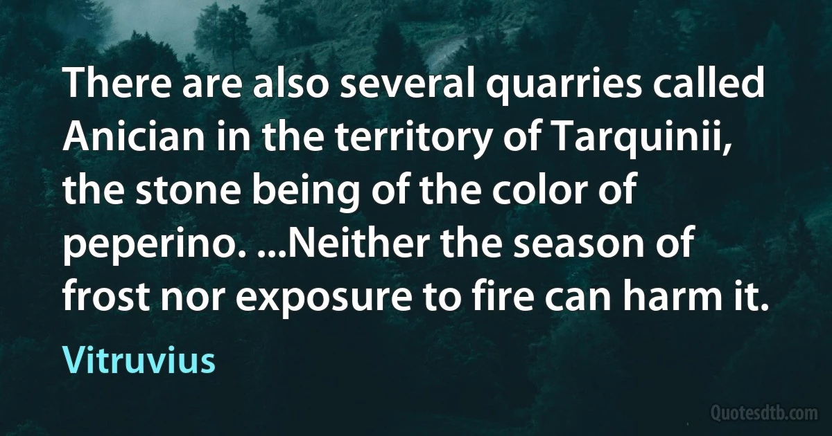 There are also several quarries called Anician in the territory of Tarquinii, the stone being of the color of peperino. ...Neither the season of frost nor exposure to fire can harm it. (Vitruvius)