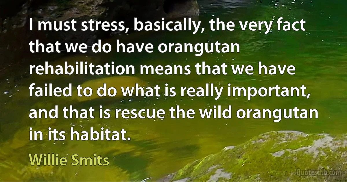 I must stress, basically, the very fact that we do have orangutan rehabilitation means that we have failed to do what is really important, and that is rescue the wild orangutan in its habitat. (Willie Smits)