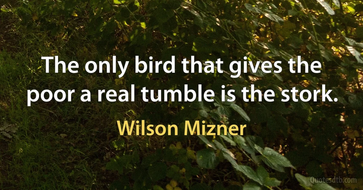 The only bird that gives the poor a real tumble is the stork. (Wilson Mizner)