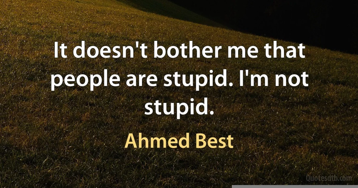 It doesn't bother me that people are stupid. I'm not stupid. (Ahmed Best)