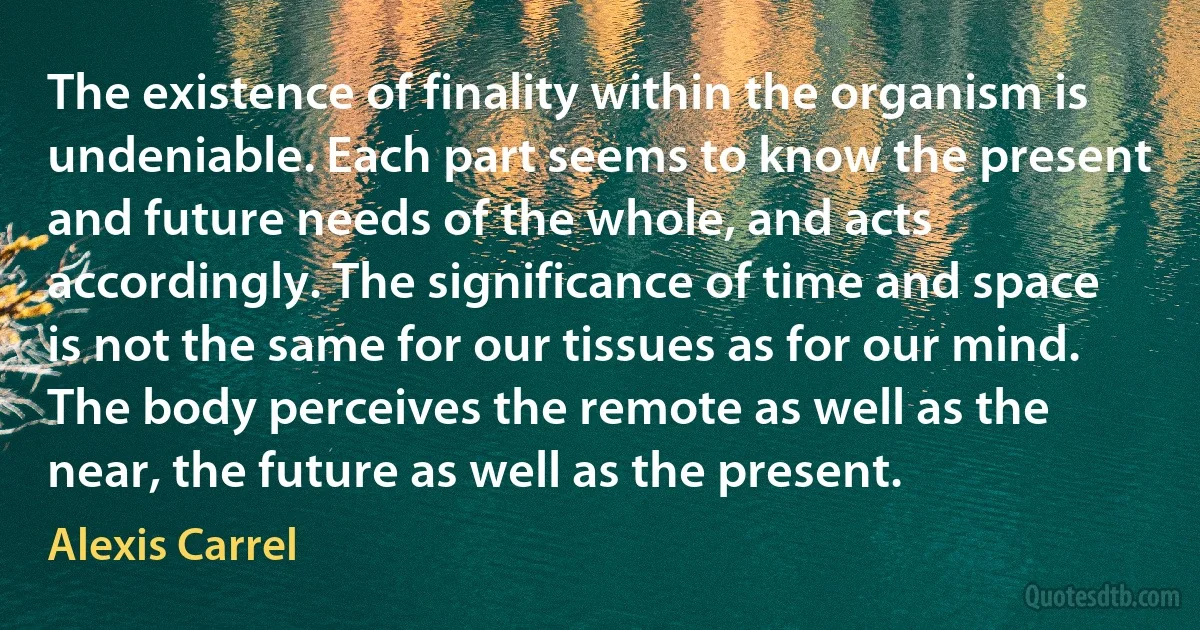 The existence of finality within the organism is undeniable. Each part seems to know the present and future needs of the whole, and acts accordingly. The significance of time and space is not the same for our tissues as for our mind. The body perceives the remote as well as the near, the future as well as the present. (Alexis Carrel)