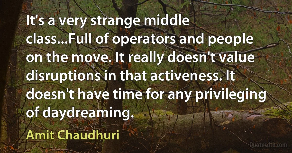 It's a very strange middle class...Full of operators and people on the move. It really doesn't value disruptions in that activeness. It doesn't have time for any privileging of daydreaming. (Amit Chaudhuri)