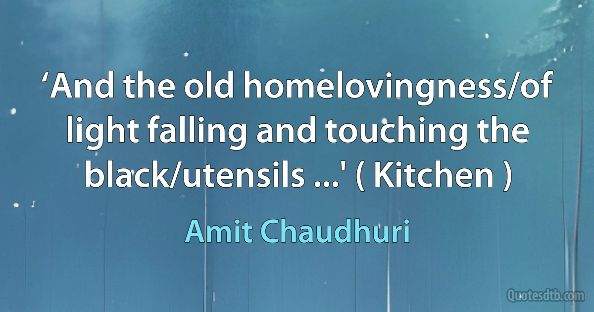 ‘And the old homelovingness/of light falling and touching the black/utensils ...' ( Kitchen ) (Amit Chaudhuri)