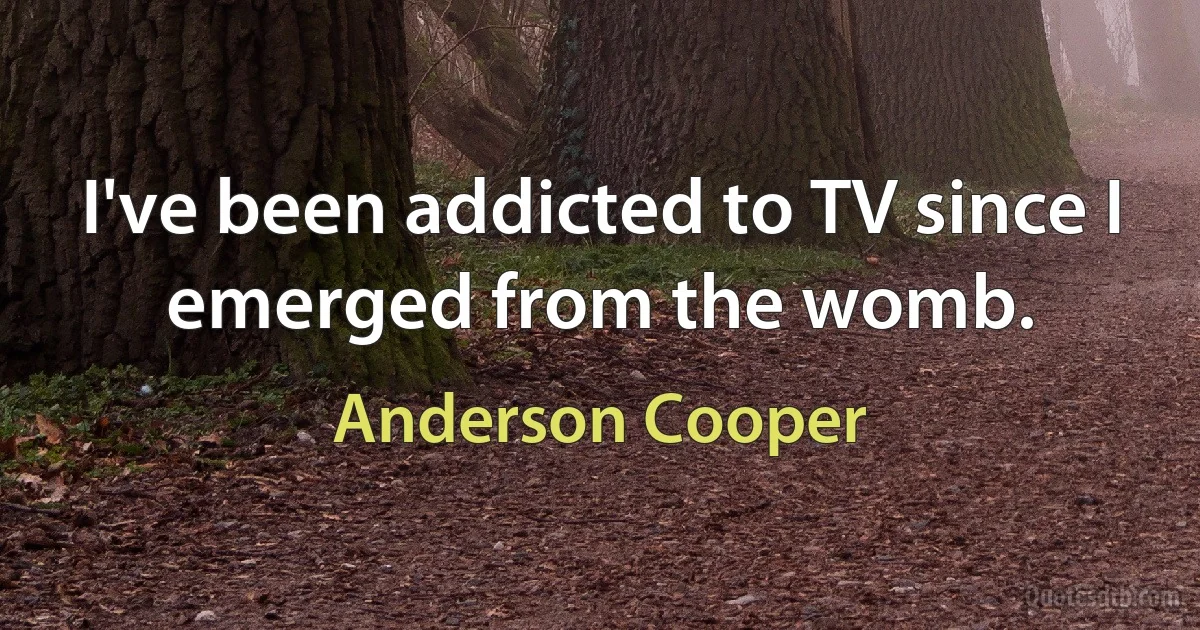 I've been addicted to TV since I emerged from the womb. (Anderson Cooper)