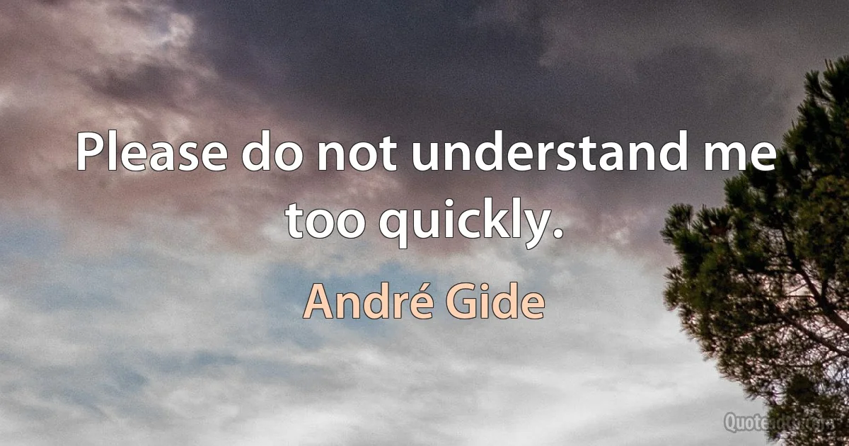 Please do not understand me too quickly. (André Gide)