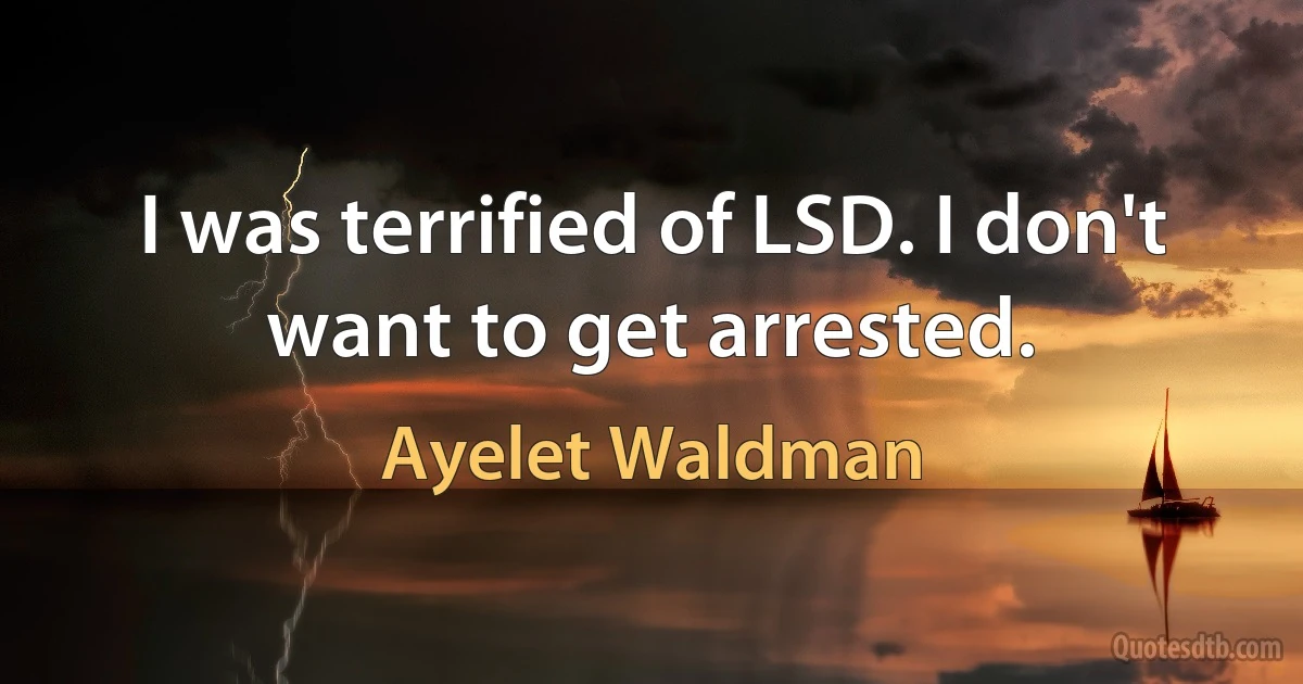 I was terrified of LSD. I don't want to get arrested. (Ayelet Waldman)