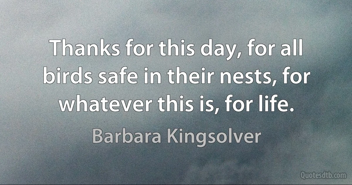 Thanks for this day, for all birds safe in their nests, for whatever this is, for life. (Barbara Kingsolver)