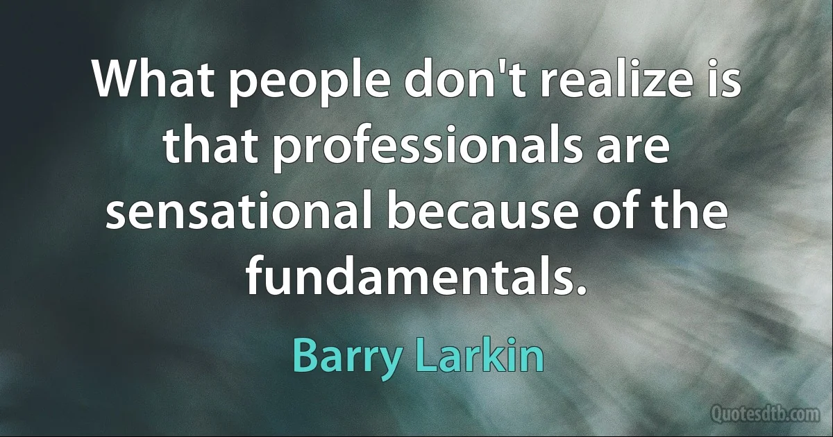 What people don't realize is that professionals are sensational because of the fundamentals. (Barry Larkin)