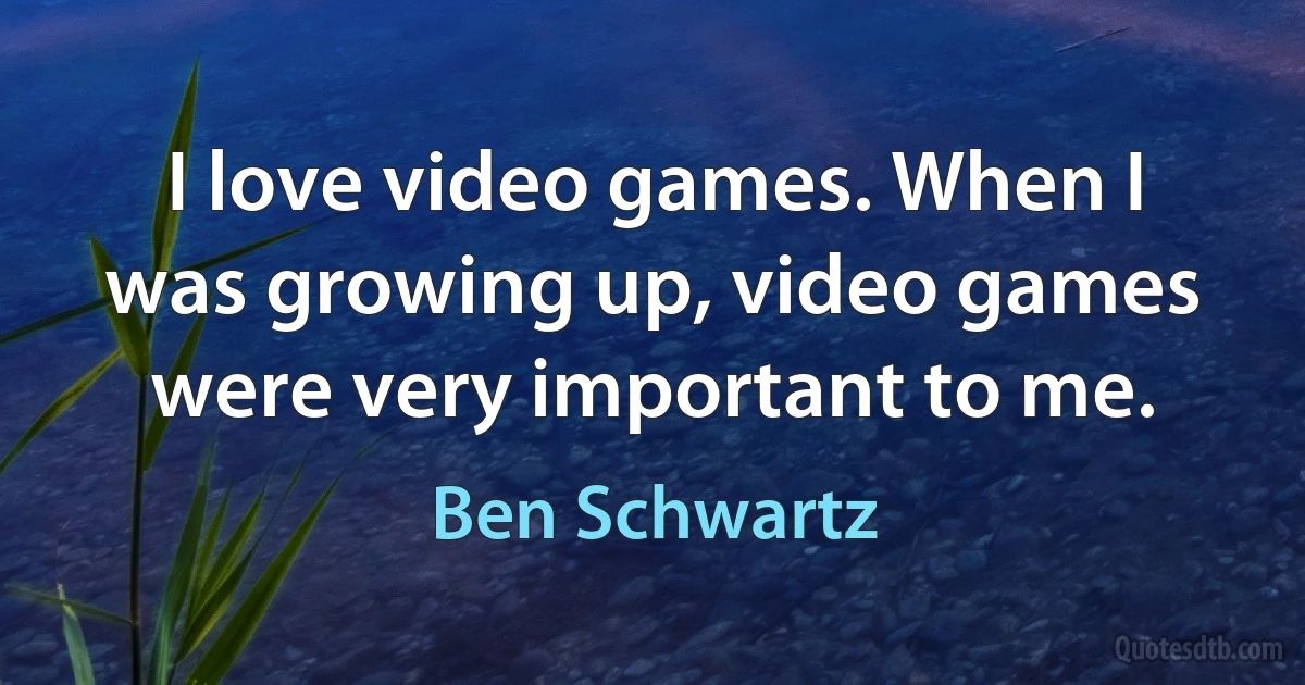 I love video games. When I was growing up, video games were very important to me. (Ben Schwartz)