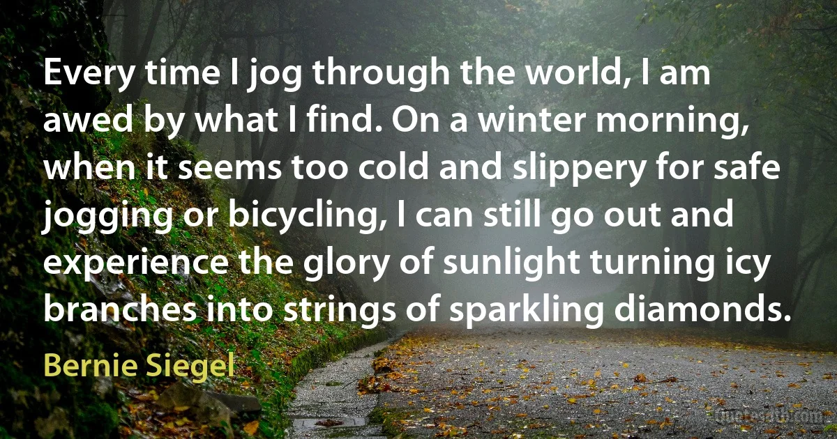 Every time I jog through the world, I am awed by what I find. On a winter morning, when it seems too cold and slippery for safe jogging or bicycling, I can still go out and experience the glory of sunlight turning icy branches into strings of sparkling diamonds. (Bernie Siegel)