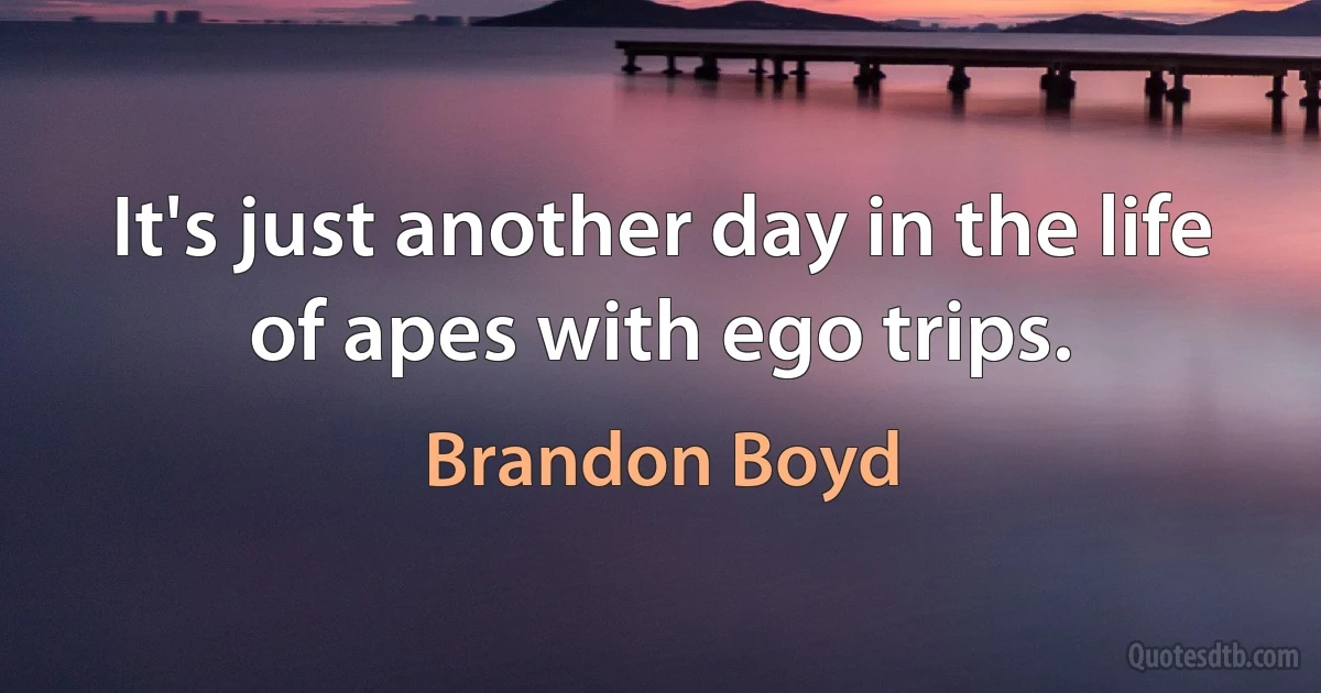 It's just another day in the life of apes with ego trips. (Brandon Boyd)