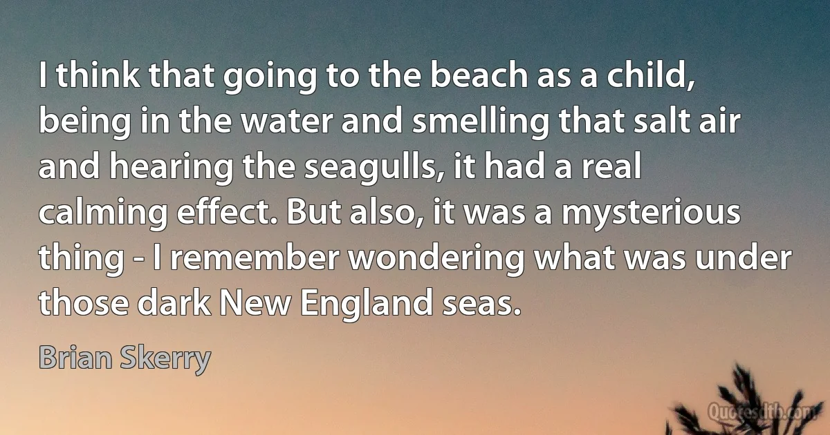 I think that going to the beach as a child, being in the water and smelling that salt air and hearing the seagulls, it had a real calming effect. But also, it was a mysterious thing - I remember wondering what was under those dark New England seas. (Brian Skerry)