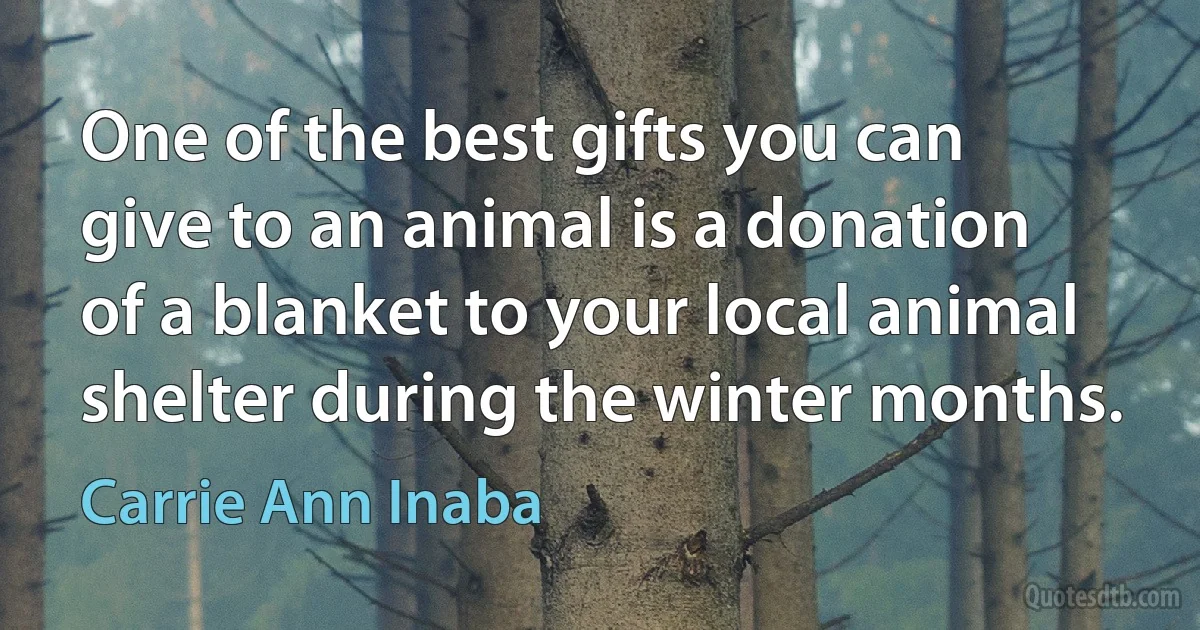 One of the best gifts you can give to an animal is a donation of a blanket to your local animal shelter during the winter months. (Carrie Ann Inaba)