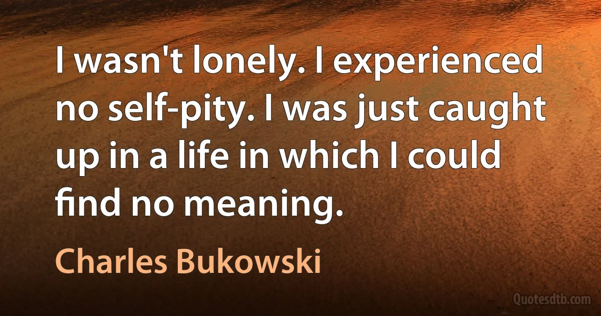 I wasn't lonely. I experienced no self-pity. I was just caught up in a life in which I could ﬁnd no meaning. (Charles Bukowski)