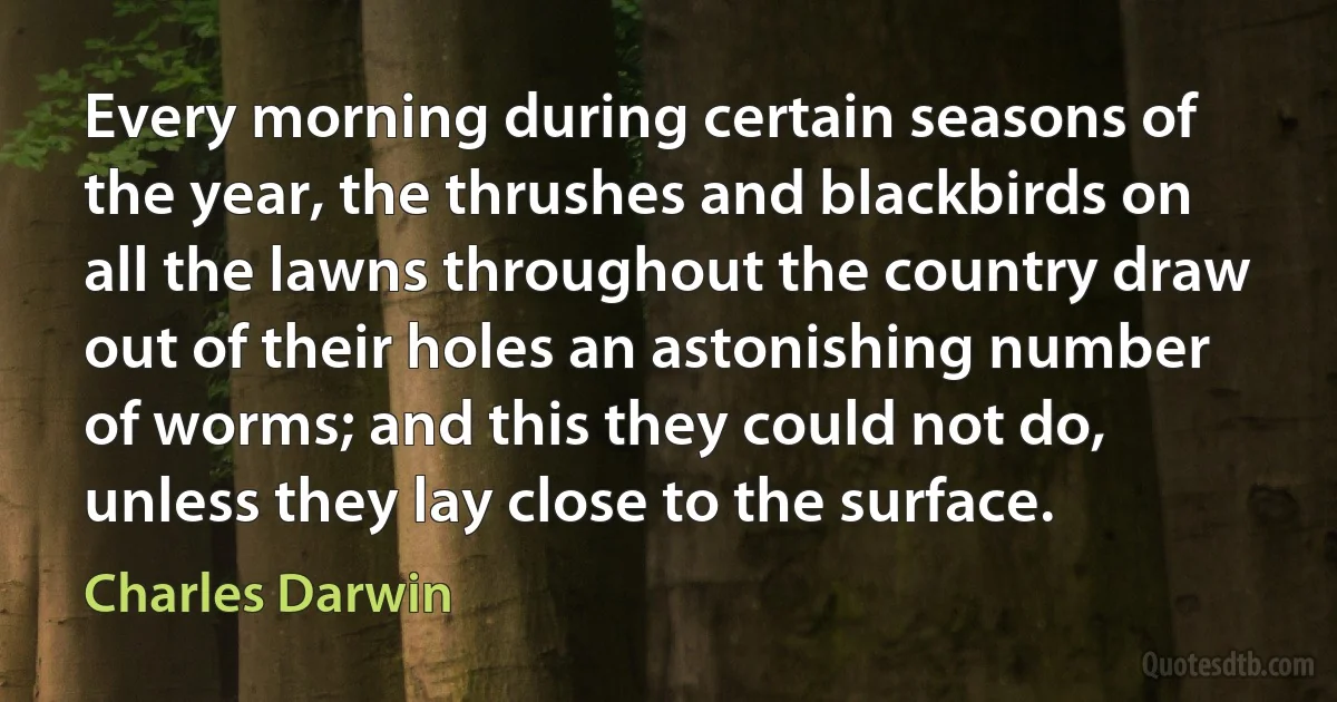 Every morning during certain seasons of the year, the thrushes and blackbirds on all the lawns throughout the country draw out of their holes an astonishing number of worms; and this they could not do, unless they lay close to the surface. (Charles Darwin)