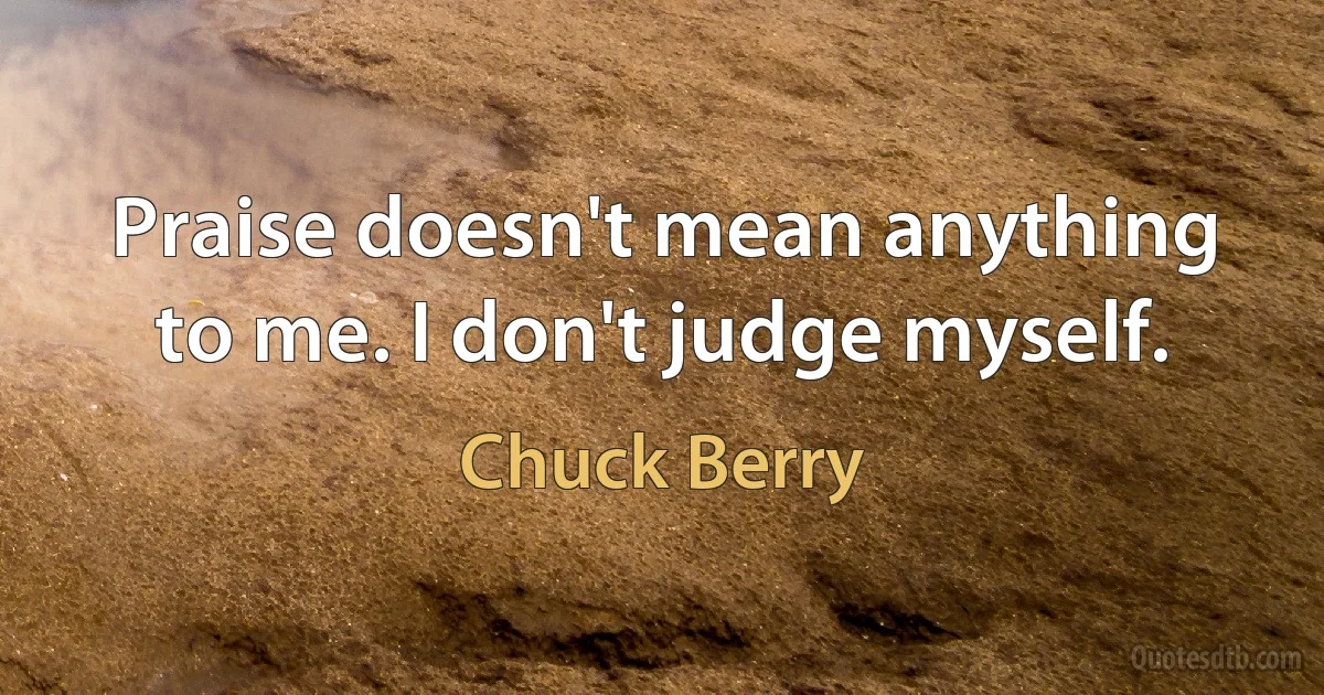 Praise doesn't mean anything to me. I don't judge myself. (Chuck Berry)